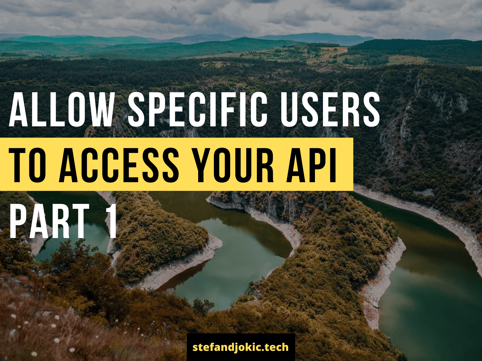 Allow specific users to access your API - Part 1