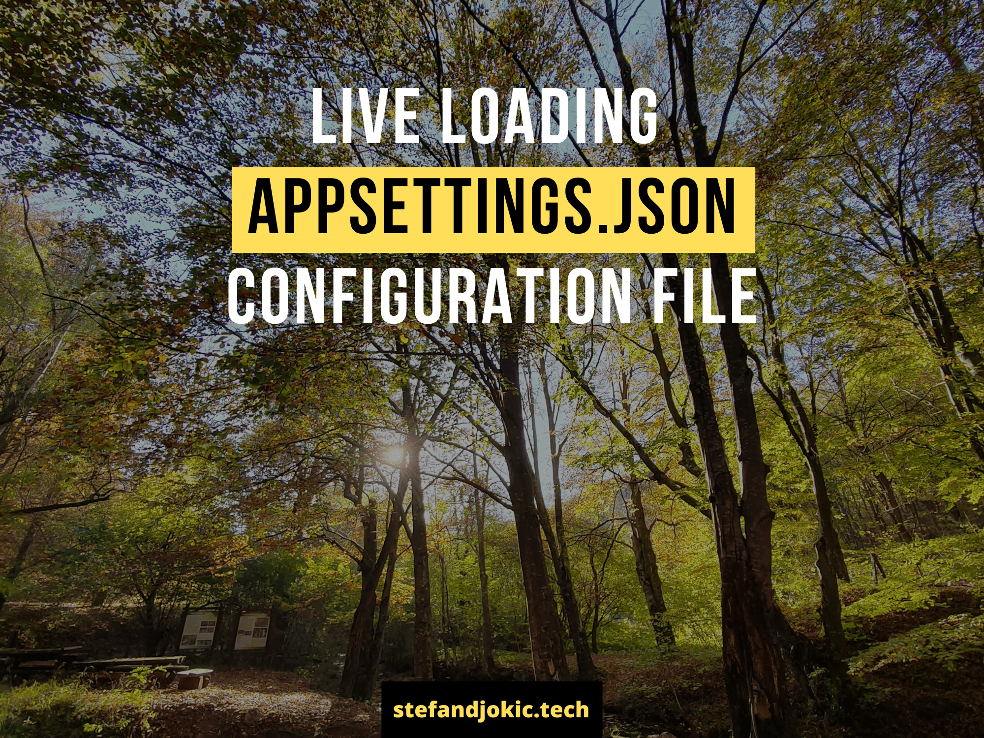 Live loading appsettings.json configuration file