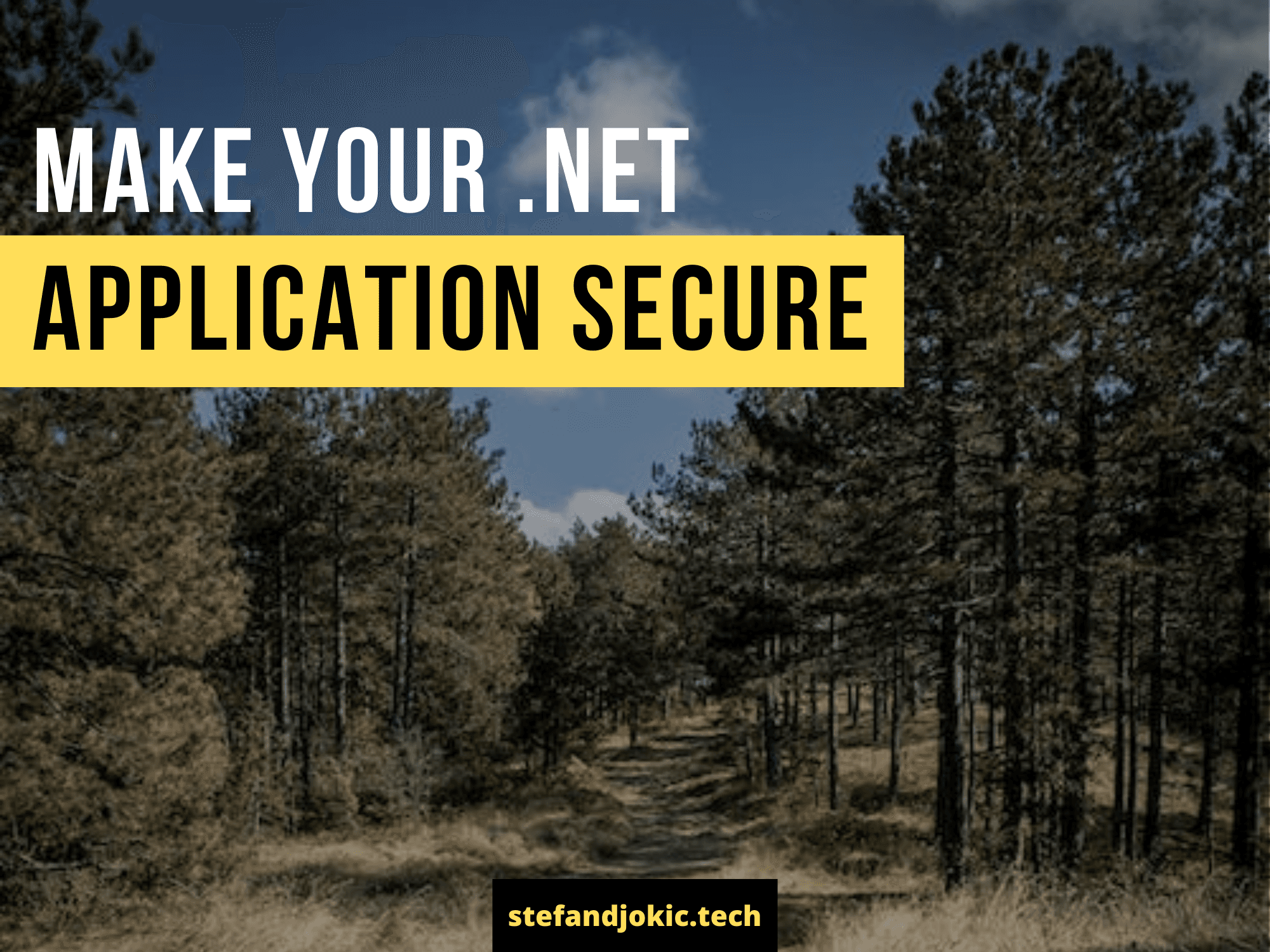 Make your .NET application secure