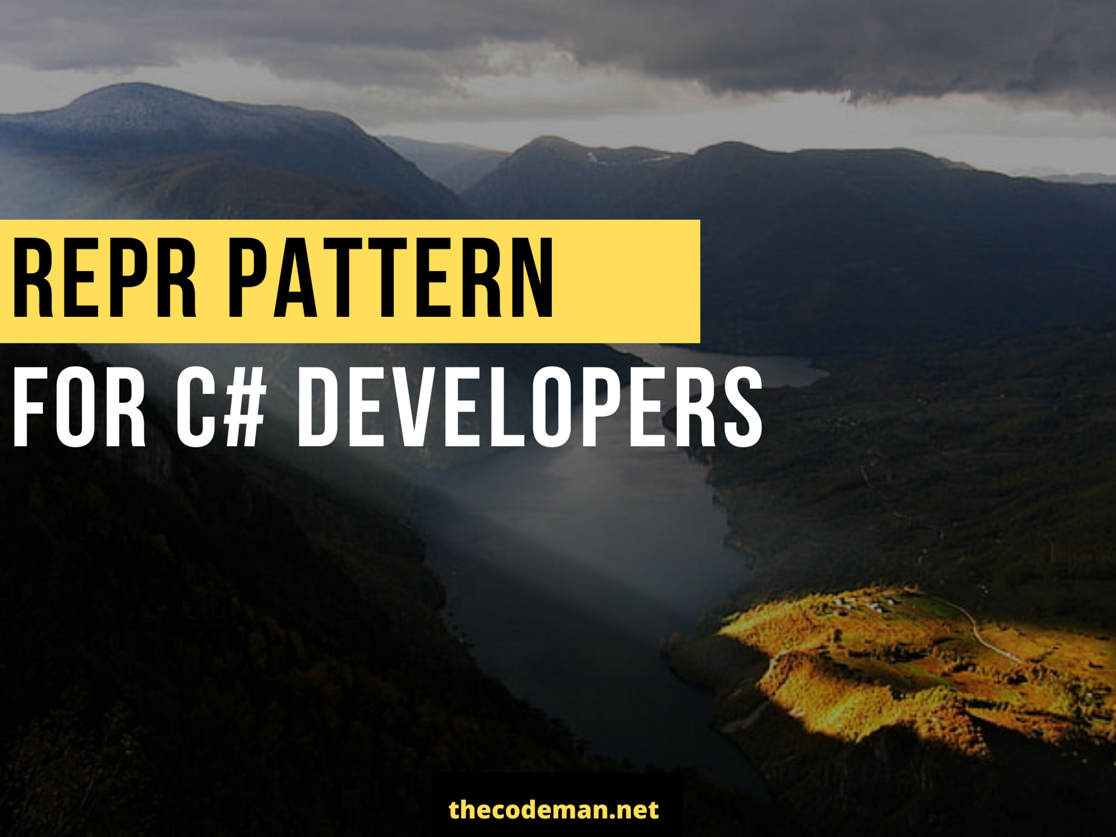 REPR Pattern - For C# developers