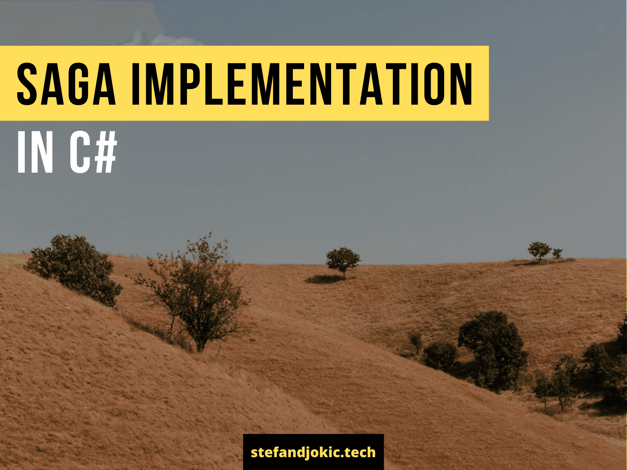 SAGA Implementation in C#