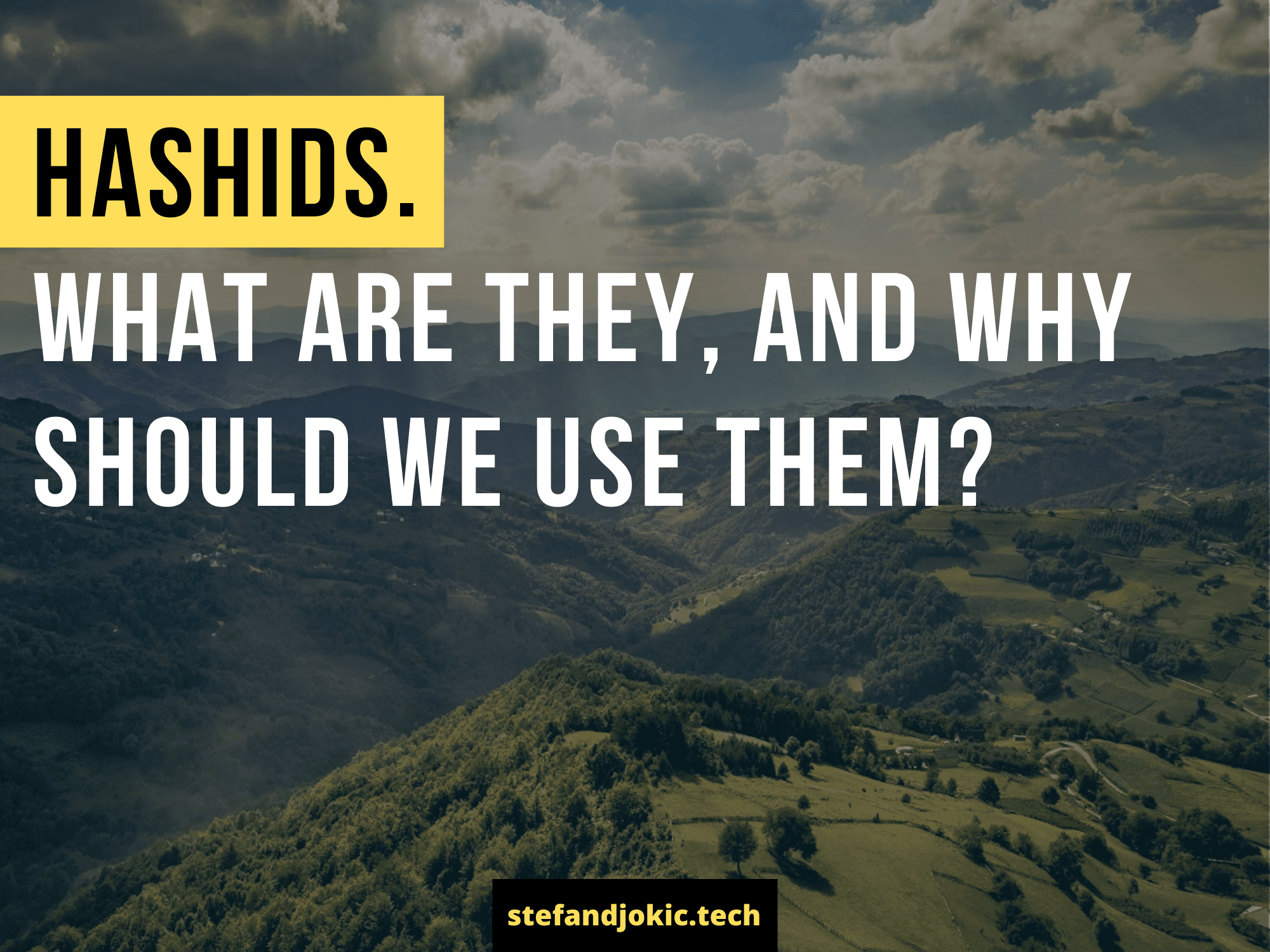 HashIDs. What are they, and why should we use them?