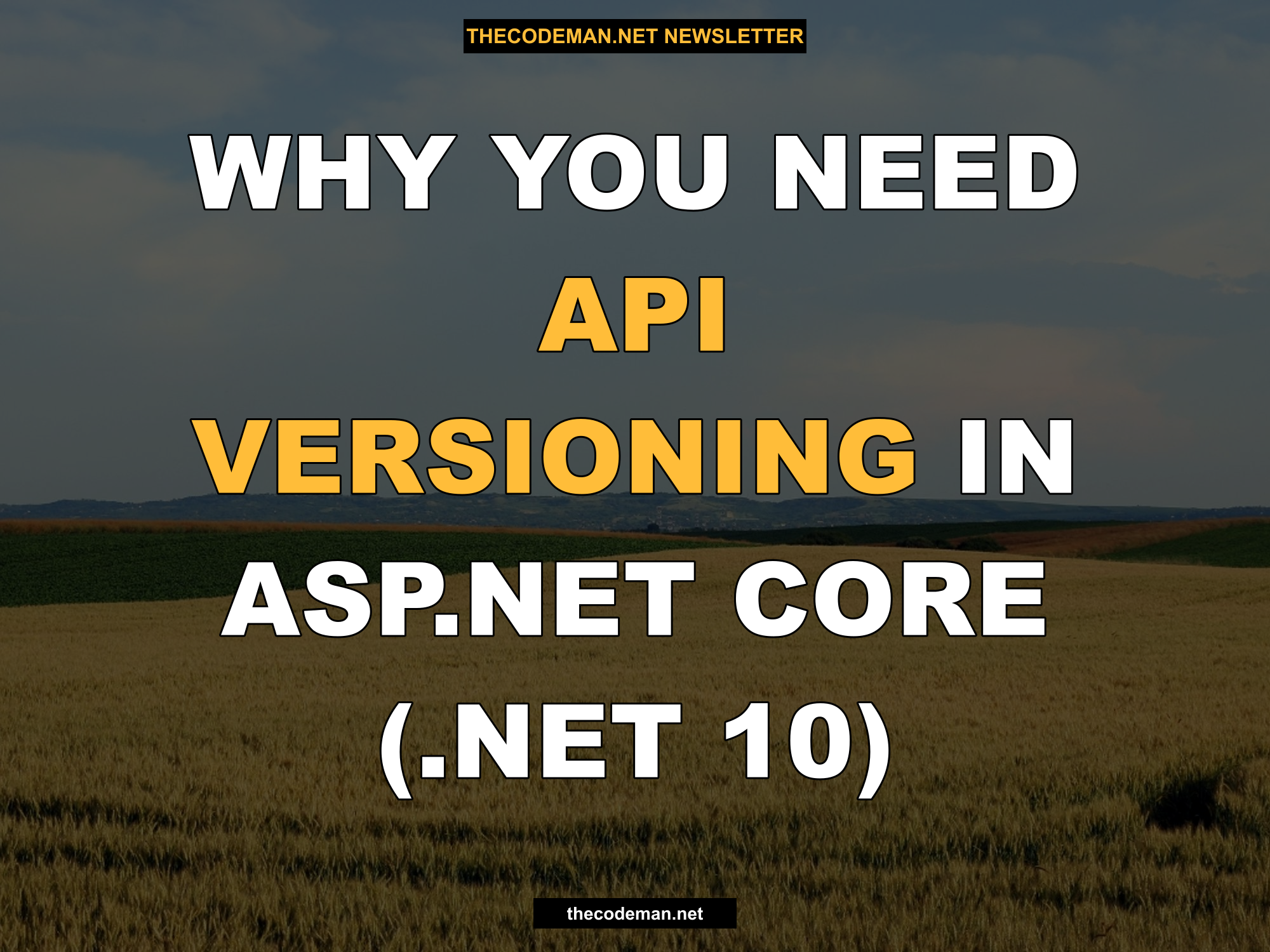Why You Need API Versioning in ASP.NET Core (.NET 10)